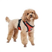 Harnais de traction pour chien et chat en nylon anti-explosion, sangle de poitrine, fournitures d'extérieur en gros