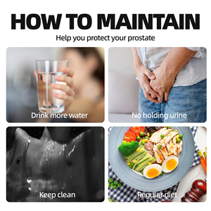 OEM ODM Prêt à expédier Sachets de thé bien-être pour hommes Mélange naturel de palmier nain et de marron chouteau Favorise le confort urinaire et la vitalité 30 sachets - Product Image 4