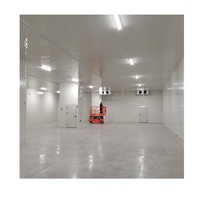Chambre froide de 100 tonnes, congélateur à marche lente, réfrigérateur, entrepôt frigorifique, chambre de refroidissement