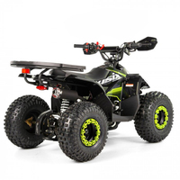Minicuatrimoto Tao Motor 2024 Automática para Niños con Reversa y Transmisión por Cadena ATV 110cc Infantil