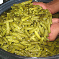 Pepinillos conservados en tambor en vinagre de ácido acético y salmuera Verduras conservadas en embalaje de tambor
