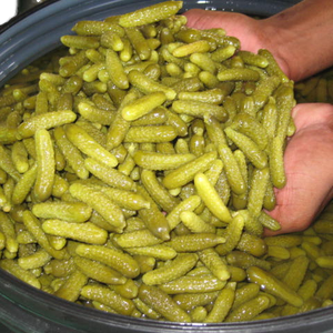Légumes conservés dans un emballage en fût Cornichons conservés dans du vinaigre et de la saumure d'acide acétique - Product Image 1