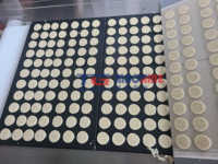 Ligne de fabrication de mini biscuits, à moulage rotatif, pour biscuits souples