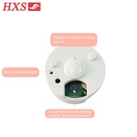 Récommande vocale de module de puce sonore de livraison rapide personnalisée en usine pour les jouets en peluche