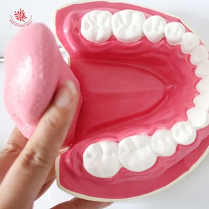 Dạy kèm cho trẻ em trong việc đánh răng mô hình Nha Khoa Tài Nguyên giảng dạy mô hình răng nha khoa phóng to 6x - Product Image 6