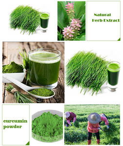 Заводская поставка, сыворотка, сок, порошок, трава, органический сывороточный порошок - Product Image 2