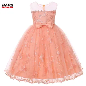 Color Size Customization Children's Embroidered Mesh Princess Dress Puff Party Girls Dress