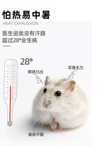 Capsule spatiale transfrontalière nid de <span class=keywords><strong>Hamster</strong></span> en céramique lit pour animaux de compagnie refroidissement d'été refroidissement <span class=keywords><strong>Cool</strong></span> abri <span class=keywords><strong>Cage</strong></span> usine en gros - Product Image 2