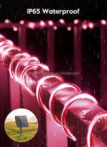 Bande LED intelligente étanche d'<span class=keywords><strong>occasion</strong></span> pour l'intérieur et l'extérieur, décoration de Noël, guirlande lumineuse en forme de canne à sucre, vente en gros et au détail, fabricant - Product Image 4