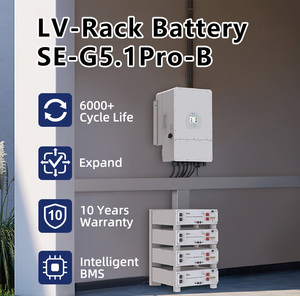 Deye ESS SE-G5.1Pro-B tốt nhất xách tay năng lượng mặt trời 100Ah nhà lưu trữ pin gói Lithium - Product Image 4