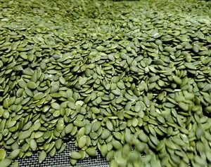 Wailitong Factory Supply Raw Processing Hulled Shine Skin Pumpkin Kernels Seeds Non GMO 3A Raw Thailand Pumpkin Seeds