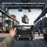 Kit de Control Remoto Proporcional Inalámbrico Hidráulico Personalizado OEM ODM con Guía Técnica Gratuita