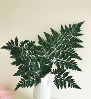 Fougère Arachniodes du Yunnan stabilisée, frondes de fougère séchées, préservées aux conservateurs chimiques longue durée pour la décoration intérieure et les arrangements de Noël