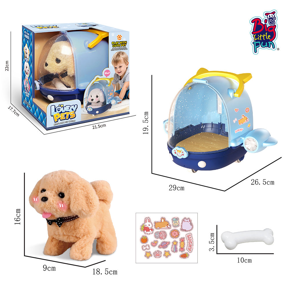 Numéro de type BZ813209