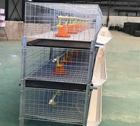 Meilleur Prix Équipement Avicole Automatique Cage Batterie pour Poules Pondeuses avec Tôles Abri Poulailler 3 Niveaux 2 Maisons à Poulets 68