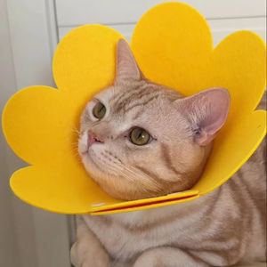Elizabeth Circle Felt Pet <b>Collar</b> <b>Cat</b> Post Surgery Anti Lick Shame Circle Sunflower Head Set <b>Cat</b> Dog Pet Supplies - Product Image 5
