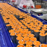 Nouvelle machine automatique de fabrication de canettes de farine Leadworld Ligne de production en conserve de mandarine chocolat bonbons légumes Pasteurisateur mélangeur