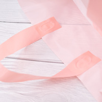 Sac fourre-tout en plastique écologique réutilisable personnalisé support poignée sac PE-BD PEHD transporteur vêtements sac à provisions avec logo pour magasin