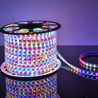 Bande lumineuse LED PVC haute pression 6 couleurs, effet cascade, IP67, 108 LED/m, éclairage extérieur pour travaux publics, télécommande, intensité variable