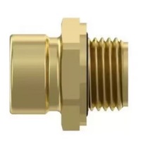 Conector de Manguera Neumática de Latón de Alta Resistencia con Perno Giratorio para Camiones y Autocaravanas