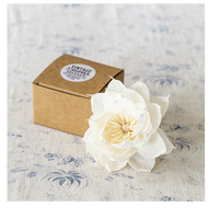 Fleur en bois de Sola personnalisée pour diffuseur d'huile de parfum Absorption rapide Fleurs d'herbe essentielles Accessoires de parfum Meilleure décoration de la maison