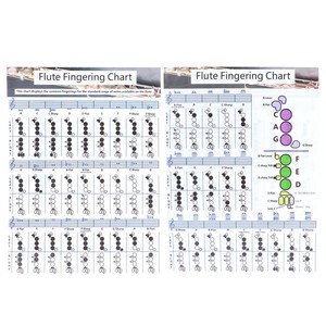 Tabla de <span class=keywords><strong>Acordes</strong></span> <span class=keywords><strong>para</strong></span> <span class=keywords><strong>Flauta</strong></span> de 28x21 cm, Ayuda Didáctica <span class=keywords><strong>para</strong></span> Principiantes, Accesorio <span class=keywords><strong>para</strong></span> Instrumento Musical - Product Image 4