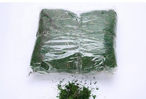 E-3086 Preserved Green <strong>Moss</strong> Bark 800g <strong>Dried</strong> Natural Sphagnum <strong>Moss</strong> for Crafts, Floral Arrangements, and Terrariums - Product Image 4