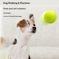 Balle de tennis flottante en caoutchouc élastique pour chien, résistante à l'usure, jouet d'extérieur pour chiot, chien de taille moyenne/grande, vente en gros