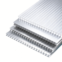 Panneau solaire en polycarbonate à double paroi UV Shield, coloré, pour gazebo, abri de voiture, serre à légumes, couverture de toit légère
