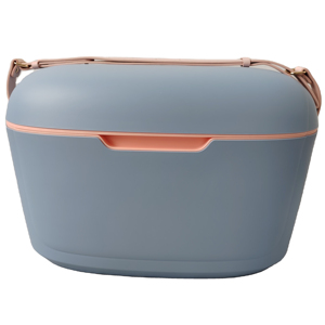 Nevera Portátil de Alta Calidad de 6QT para Acampar al Aire Libre, Nuevo Diseño con Correas Impermeables de PP, PE y PU, Patrón de Letras, Hielera - Product Image 1