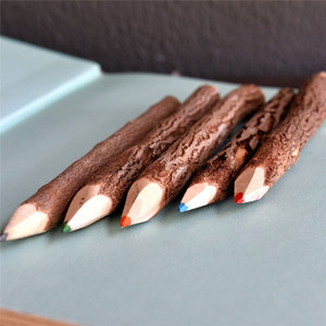 Crayons de couleur en écorce de bois écologiques avec logo personnalisé, lot en vrac, style rustique pour cadeaux spéciaux - Product Image 4
