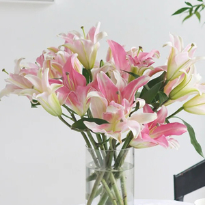 Lys de la <span class=keywords><strong>Sorbonne</strong></span> de qualité supérieure - Rose et blanc pour bouquets - Product Image 3