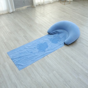 Weilian Tapis <span class=keywords><strong>de</strong></span> camping moderne en PVC avec oreiller intégré, <span class=keywords><strong>matelas</strong></span> <span class=keywords><strong>de</strong></span> couchage gonflable pour l'extérieur, <span class=keywords><strong>plage</strong></span> et lit <span class=keywords><strong>de</strong></span> camp avec dossier – Grande Vente - Product Image 5