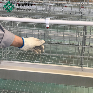 Calidad de fábrica los huevos de las gallinas ponedoras usando para jaula de pollo avícoles la agricultura en Pakistán - Product Image 2