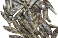 100% natuurlijk, hoog eiwitgehalte, milieuvriendelijk, zongedroogd droogvoer voor kleine riviervissen uit China, bevordert de gezondheid van de gewrichten, geschikt voor alle leeftijden.
