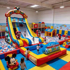 Tobogán Acuático Inflable Temático, Material de PVC Ecológico, para Niños, Equipo de Juego de Aventura, Grado Comercial - Product Image 5