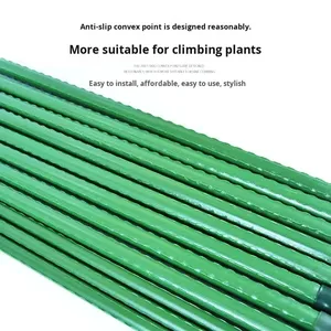 Kunststoffbeschichtetes Stahlrohr PE Pflanzenklettergerüst Leiterstange Bohnen-Gurken-Klettergestell Garten - Product Image 4