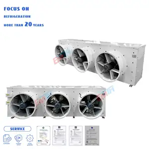 Customized Heat Resistant Small Cold Room Refrigeration Air Evaporator