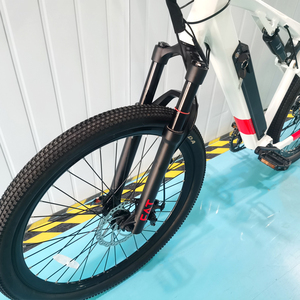 Nouveau Vélo Électrique Tendance 2025 – Moteur 48V pour Vélo Électrique, Vélo de Route et Vélo Tout-Terrain FAT – Vente Flash - Product Image 3