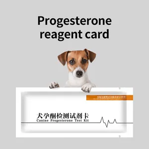 Köpek kan gebelik Progesteron testi hızlı kitleri köpekler