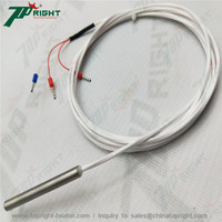Sensor Suhu Industri Transduser Genggam PT100 PT1000 Kelas A/B RTD 5x50mm