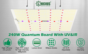 Lampe de culture LED 240W UV IR Quantum LED à spectre complet, économie d'énergie, pour serre et horticulture - Product Image 5
