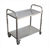 Carrito Utilitario de Doble Plataforma de Grado Comercial, Carro de Almacenamiento de Alimentos de Acero Inoxidable 201, Capacidad de 300 kg/Estantería, 4 Ruedas Giratorias con Frenos