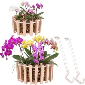 Cross-border wooden hanging flower pots with holes, outdoor <b>gardening</b>, flower pots, solid wood <b>hook</b>-type planting baskets - Product Image 5