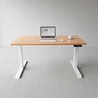 Bureau debout électrique moderne ergonomique à double moteur, pieds carrés, hauteur réglable, mobilier de bureau à domicile