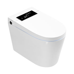 <span class=keywords><strong>Cocobella</strong></span> 110/220V Sanitaires, WC électrique à poser au sol, bidet intelligent en céramique, toilette intelligente automatique - Product Image 1