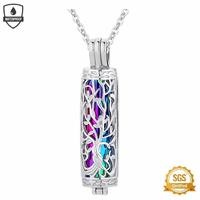 Nouveau Collier Pendentif Cylindrique Creux en Acier Inoxydable pour Cendres d'Animaux de Compagnie, Motif Végétal, pour le Commémoration Transfrontalière