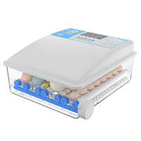 Couveuse à batterie 12 volts Couveuse intelligente 36 œufs entièrement automatique pour poussins à couver
