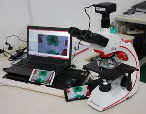 フェニックスBMC513-IPL用双眼化合物顕微鏡 - Product Image 3