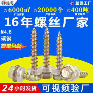 M5.5 - Product Image 5